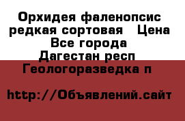 Орхидея фаленопсис редкая сортовая › Цена ­ 800 - Все города  »    . Дагестан респ.,Геологоразведка п.